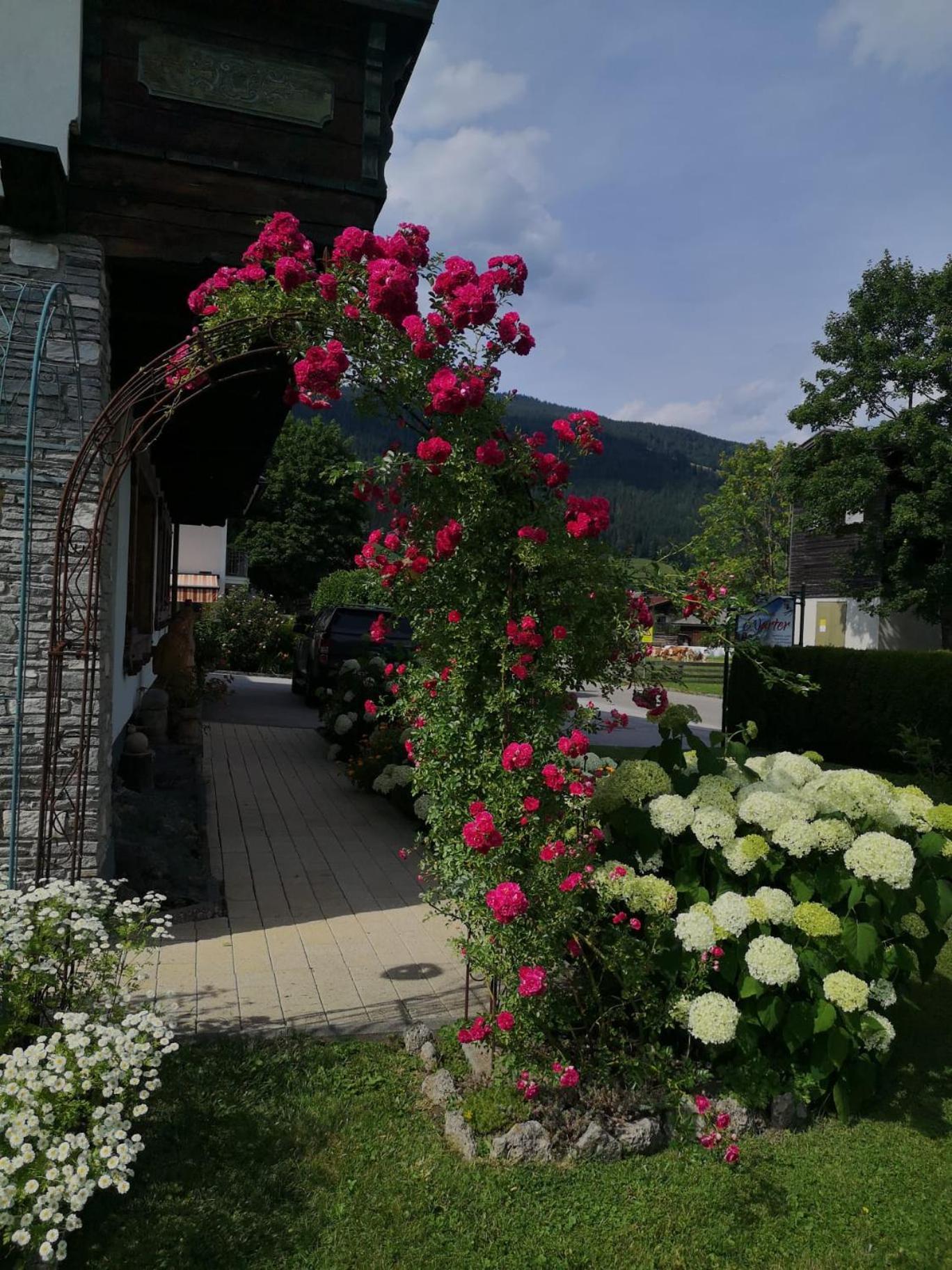 Holiday Im Gaestehaus Warter In Altenmarkt Альтенмаркт  Экстерьер фото